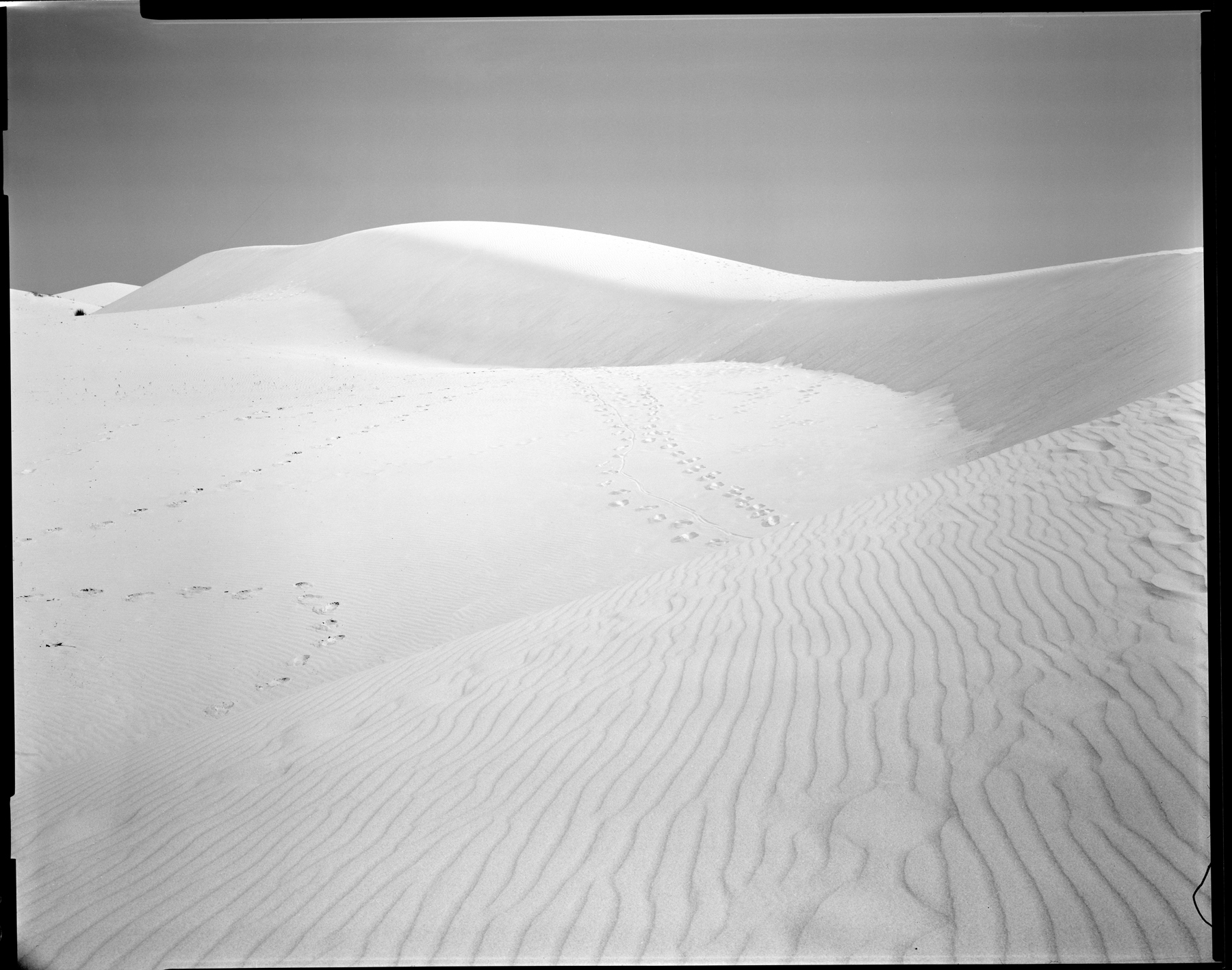 Dune(s)